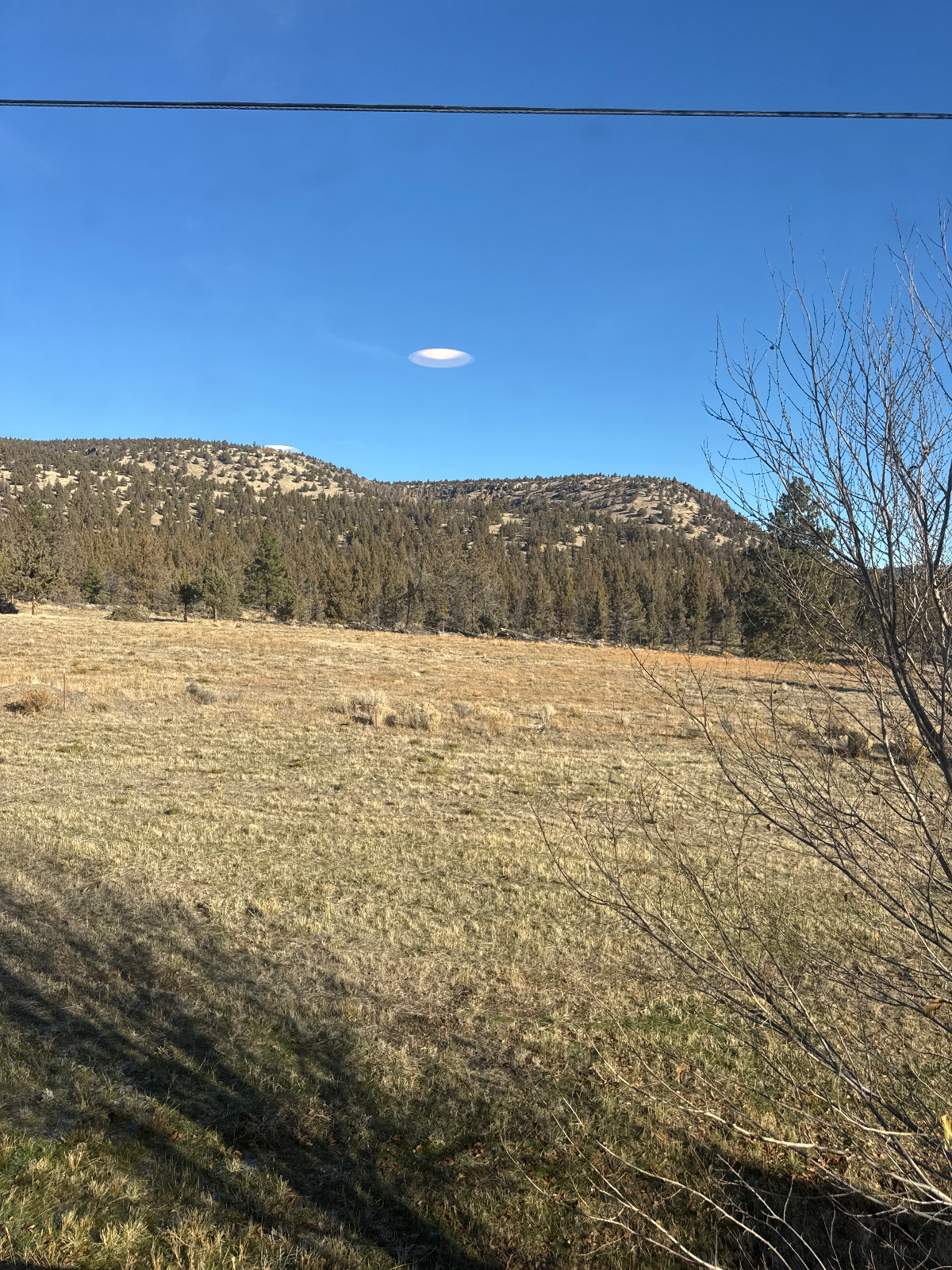 Grizzly Mountain Studio - Photo 4
