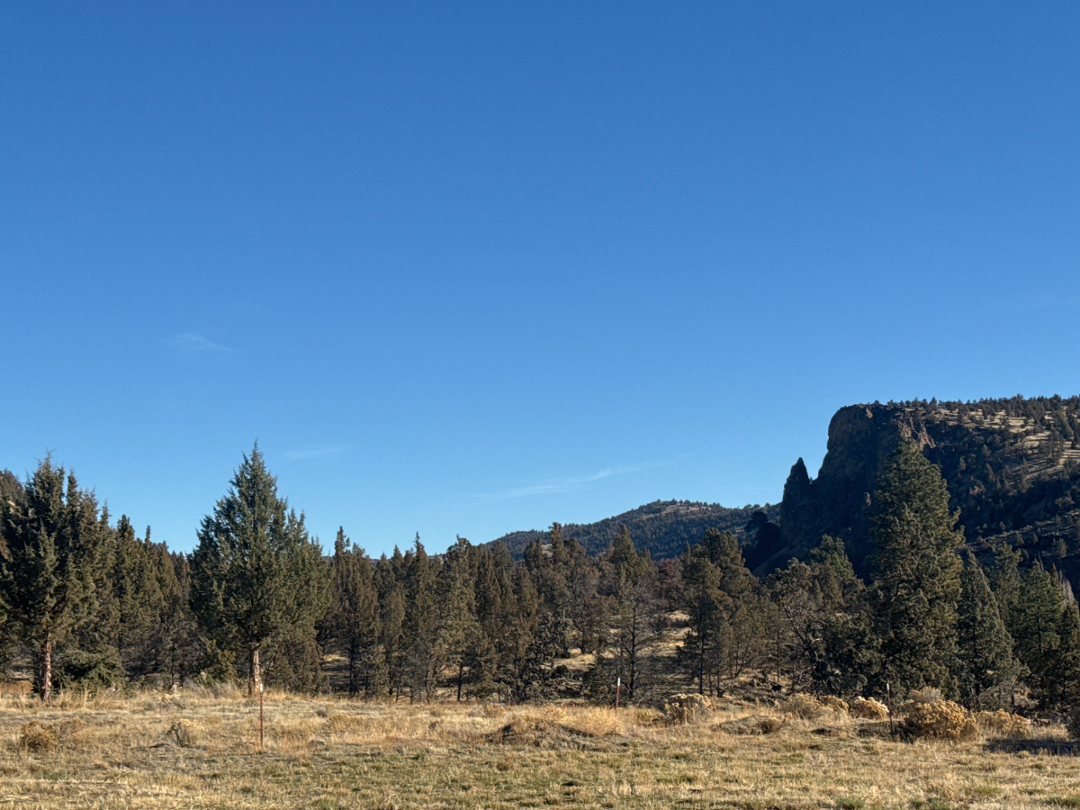 Grizzly Mountain Studio - Photo 5