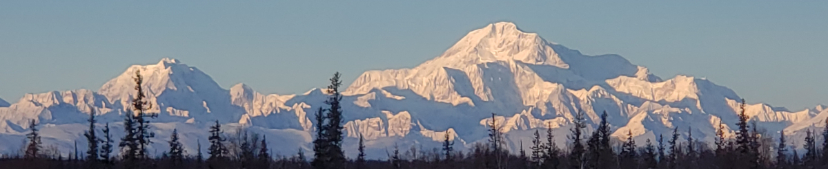 Denali View 3 story Log Home Trapper Creek Petersville - Photo 1