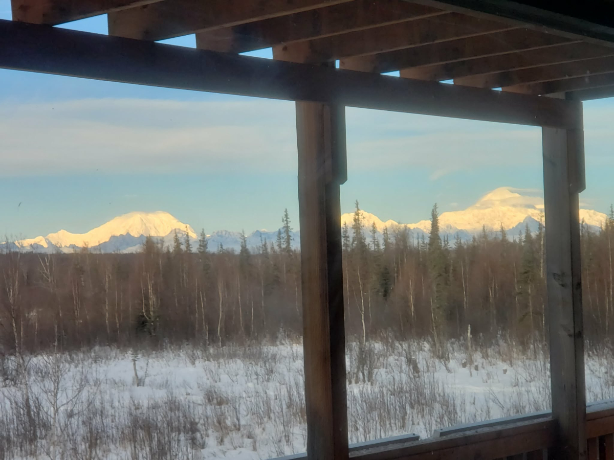 Denali View 3 story Log Home Trapper Creek Petersville - Photo 2
