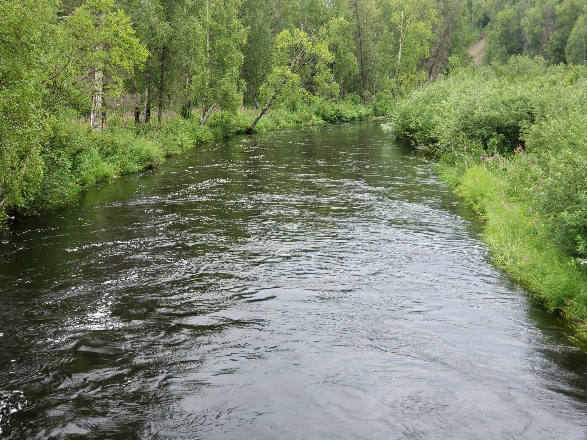 Denali View 3 story Log Home Trapper Creek Petersville - Photo 10