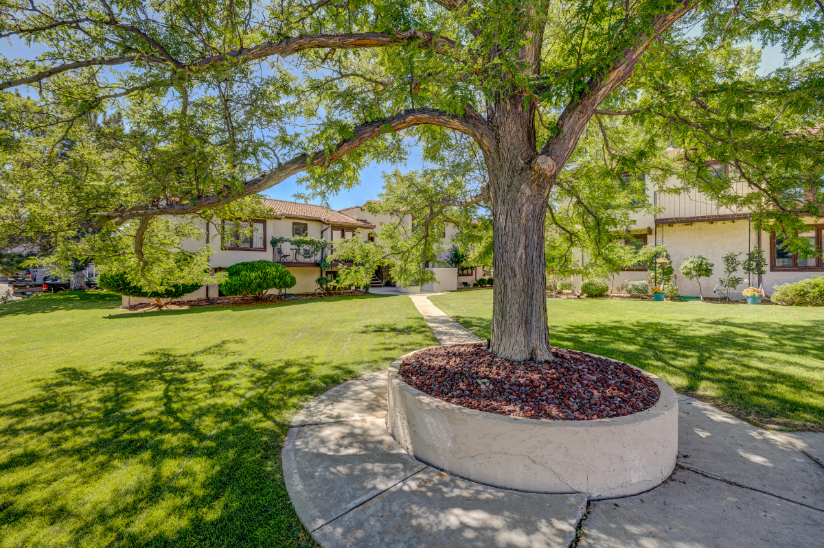 Perfectly Furnished 2 Bedroom 1 Bathroom Condo - Photo 12