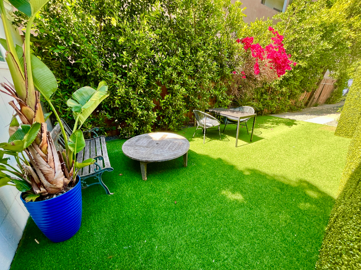 Special Studio, Newly Remodeled w/ Private Yard, Washer/Dryer - Photo 1