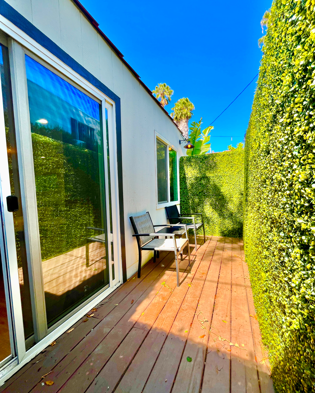 Special Studio, Newly Remodeled w/ Private Yard, Washer/Dryer - Photo 5