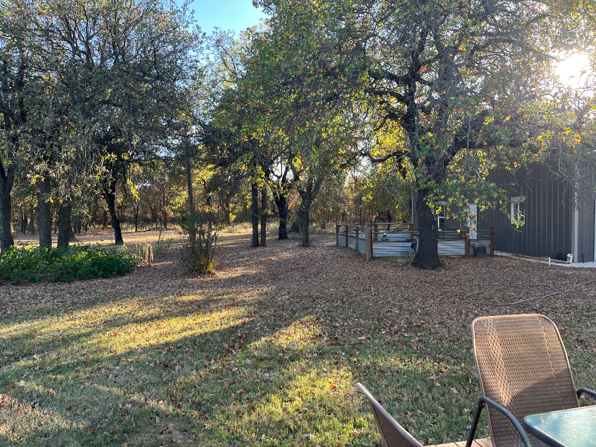 Paradise in the Oaks - Photo 2