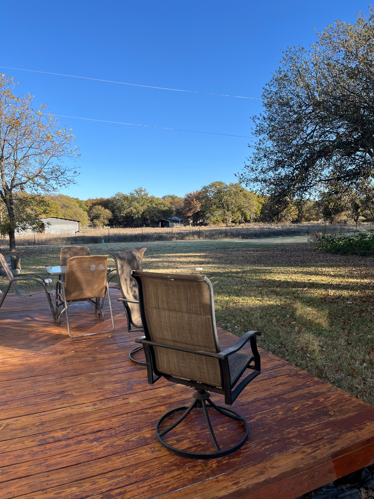Paradise in the Oaks - Photo 3