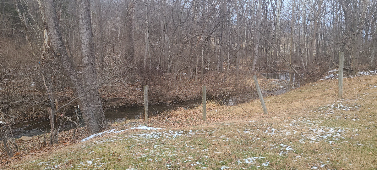 Creekside Cabin Getaway - Photo 4