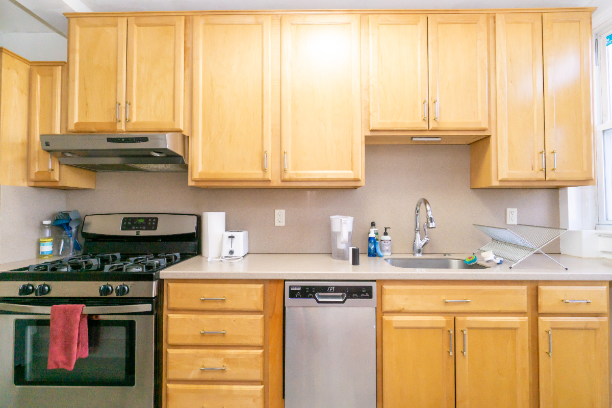 Quiet Spacious Home in NW DC - Photo 10