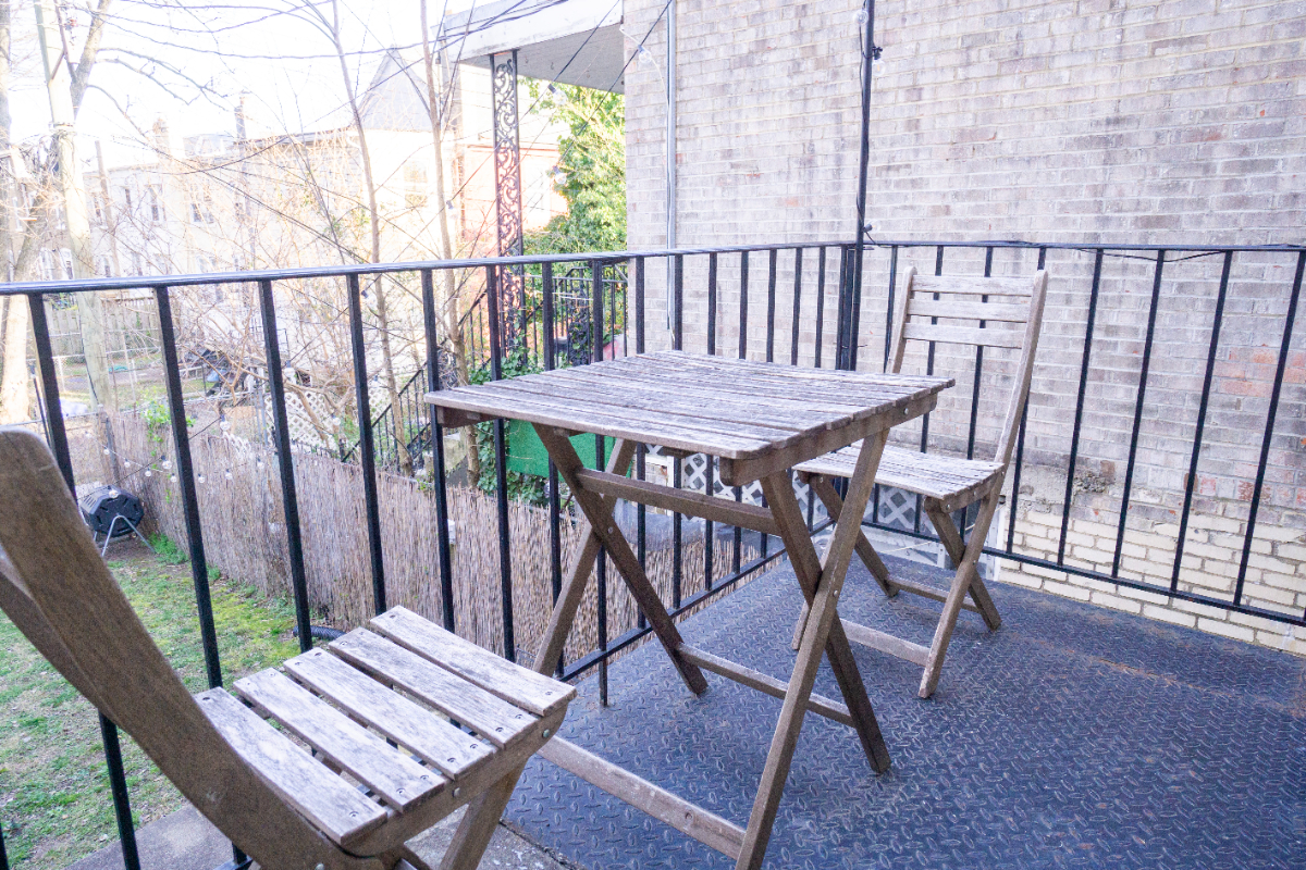 Quiet Spacious Home in NW DC - Photo 12