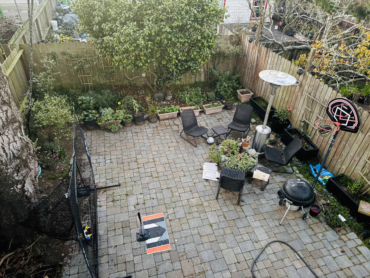 Big 1BR, Private Bath, Easy Parking, Laundry, Backyard. Near Transit & Market - Photo 4