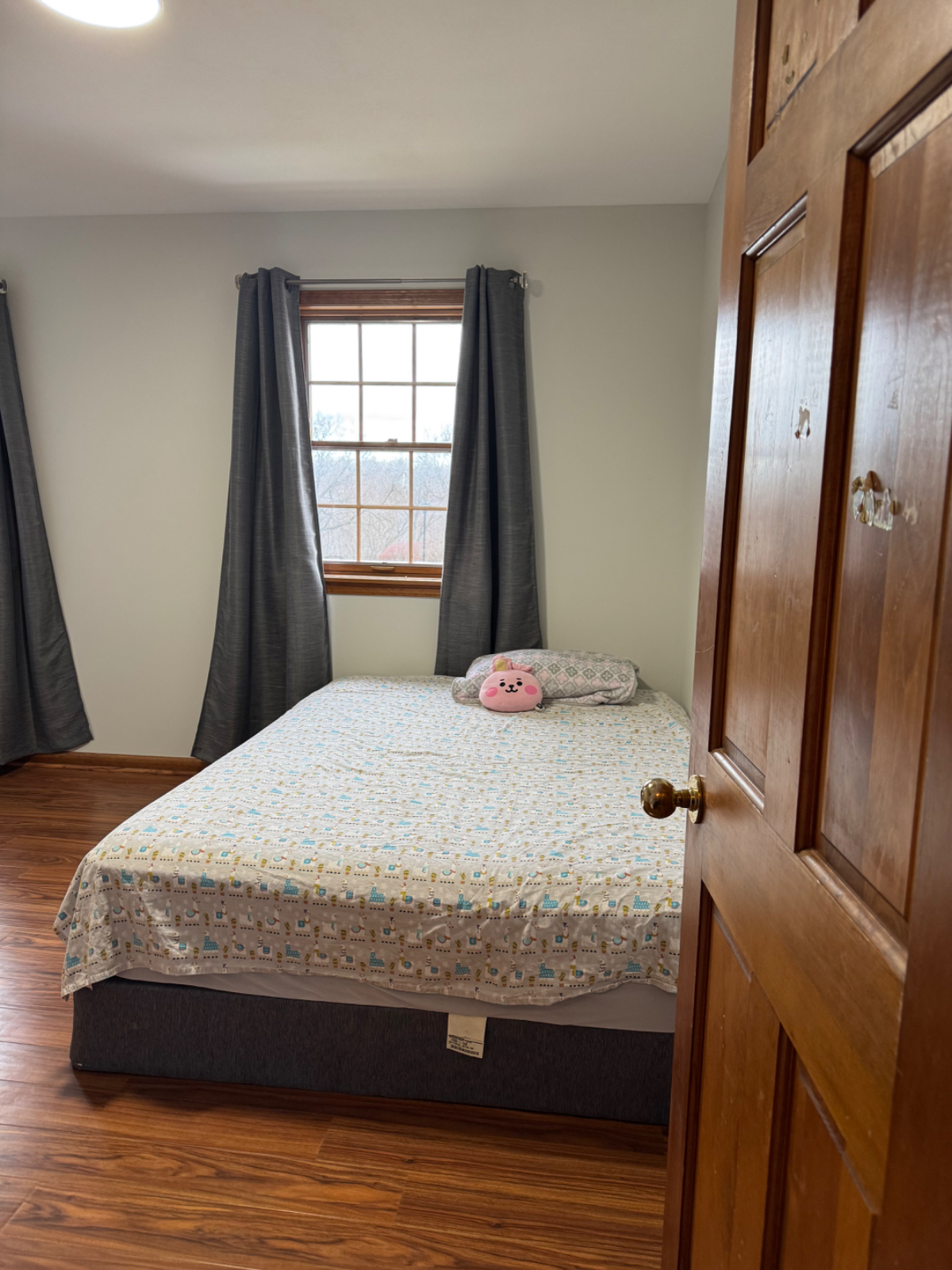 Manlius - Photo 7