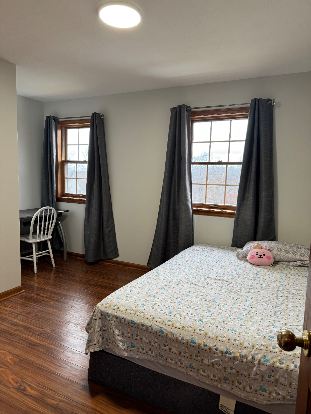 Manlius - Photo 11