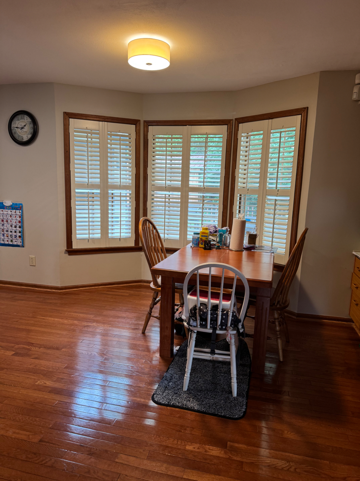 Manlius - Photo 12