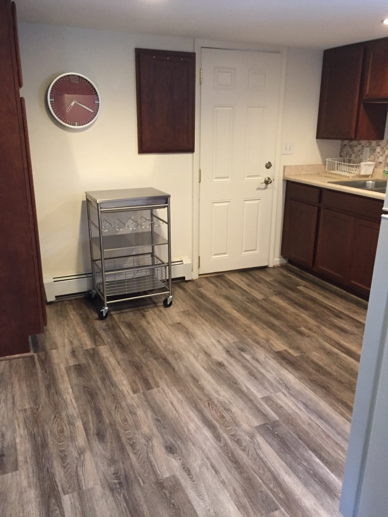 Tree Area- Bright 2 Bedroom Basement Apartment - Photo 4