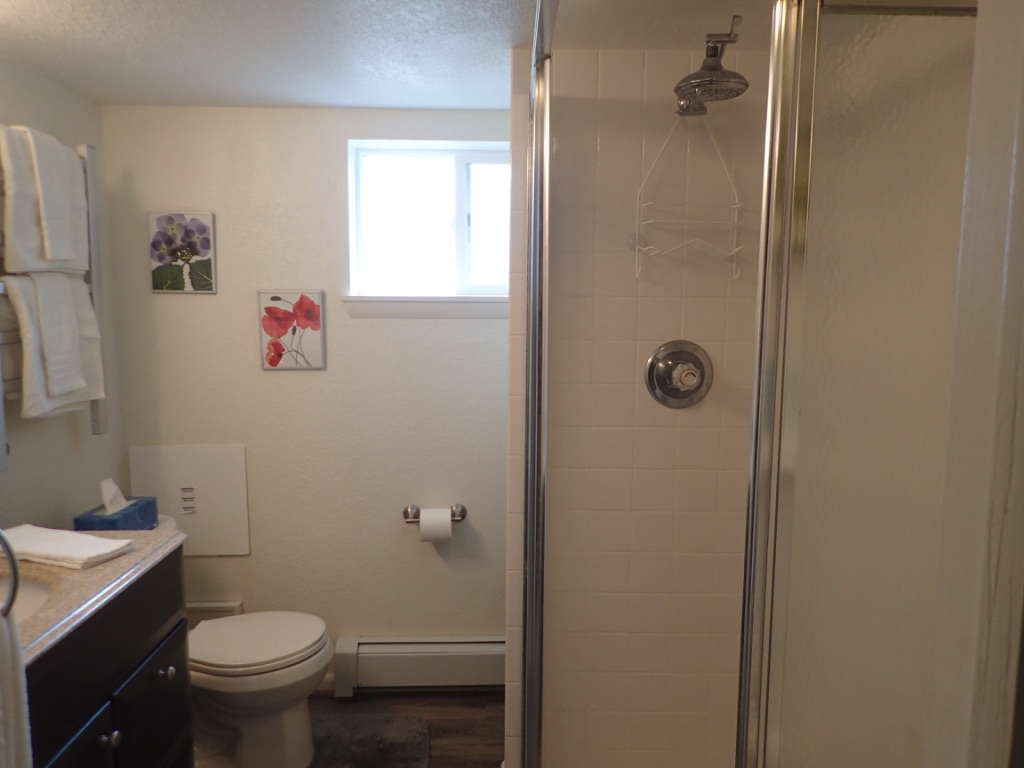 Tree Area- Bright 2 Bedroom Basement Apartment - Photo 7
