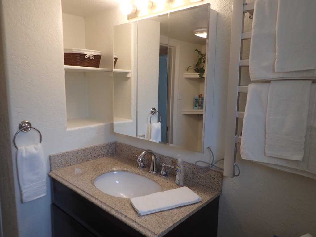 Tree Area- Bright 2 Bedroom Basement Apartment - Photo 8