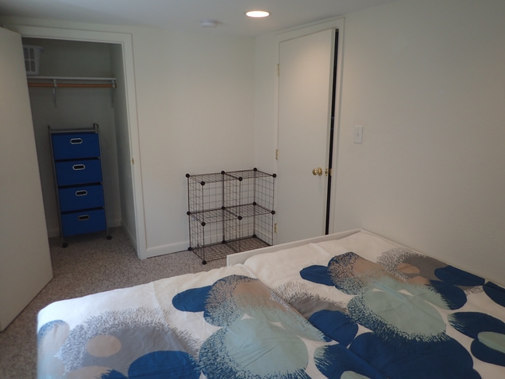 Tree Area- Bright 2 Bedroom Basement Apartment - Photo 12
