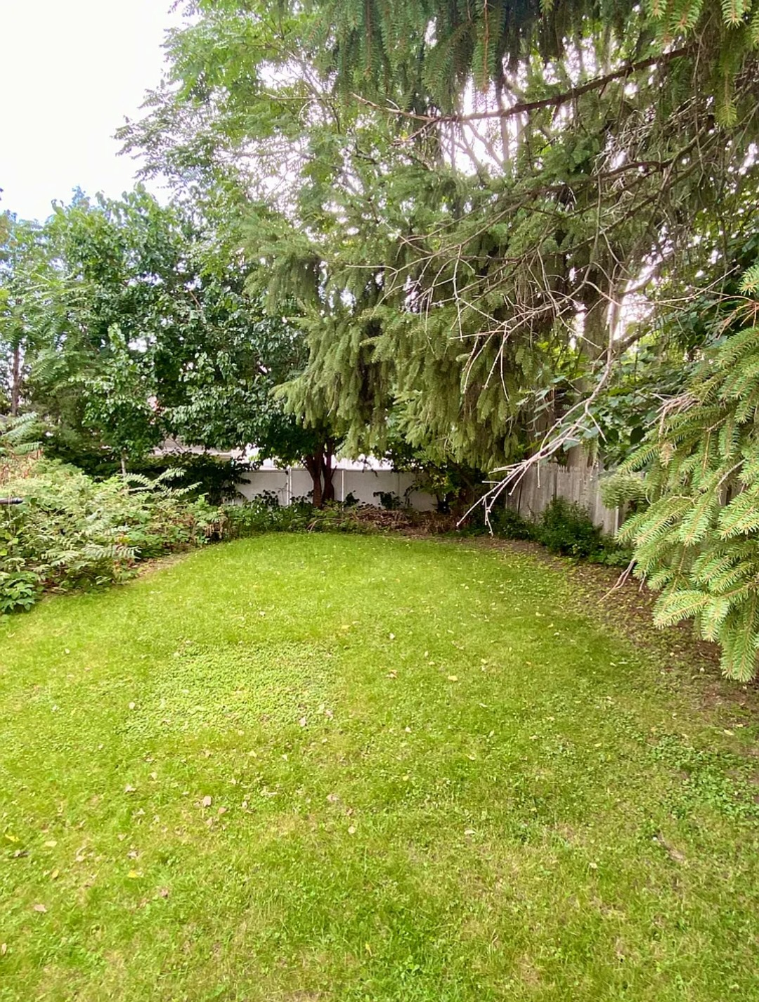 Quiet Oasis on the Northside of Syracuse - Photo 12