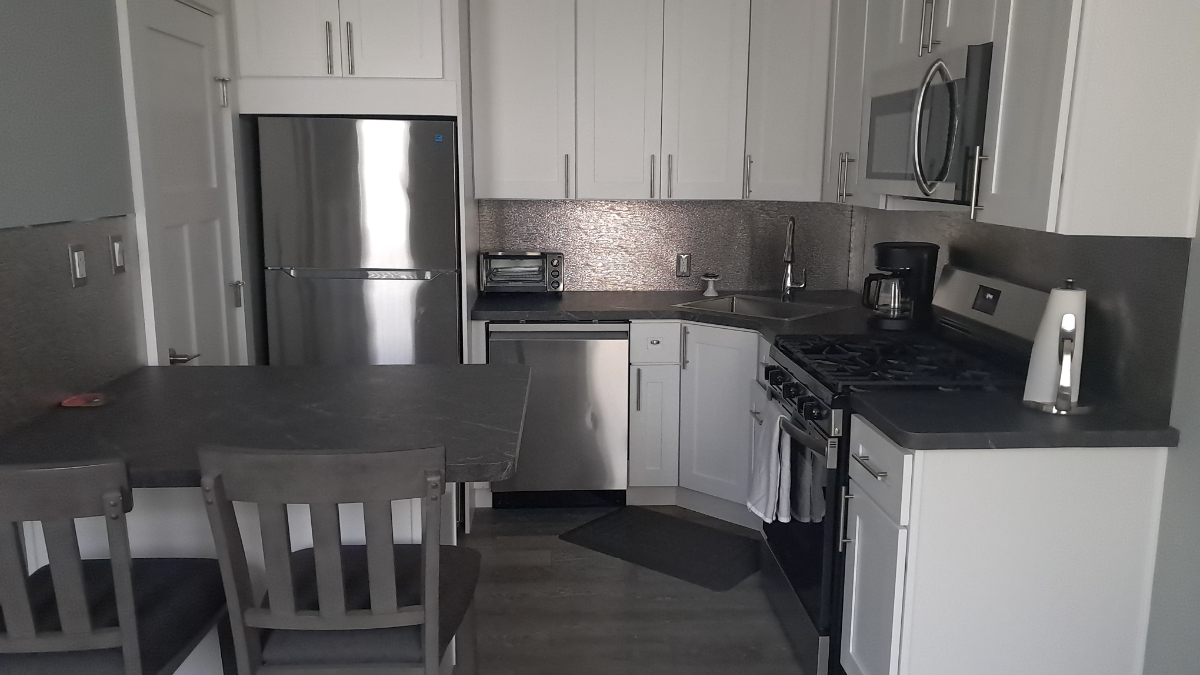 Newly Remodeled Private Apartment in North Buffalo - Photo 4