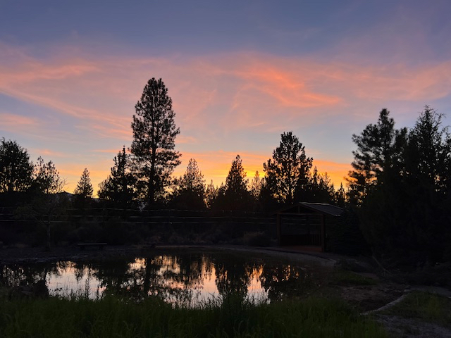 Westside Bend Studio Retreat 38 acres, Pond, Pickleball and Views - Photo 1
