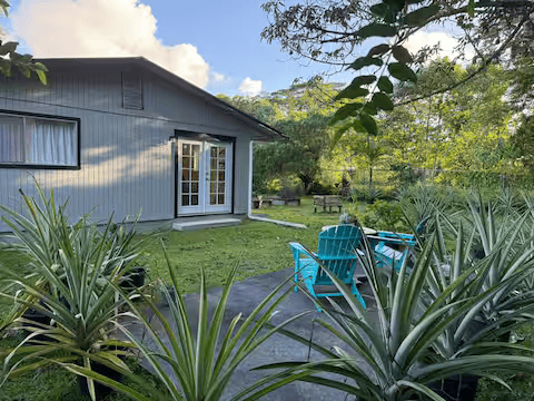 Puni Makai Pineapple Manor - Photo 3