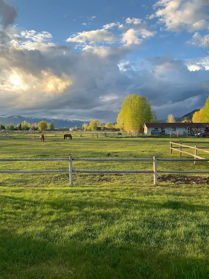 Jackson Hole, WY with Teton Views - Photo 3