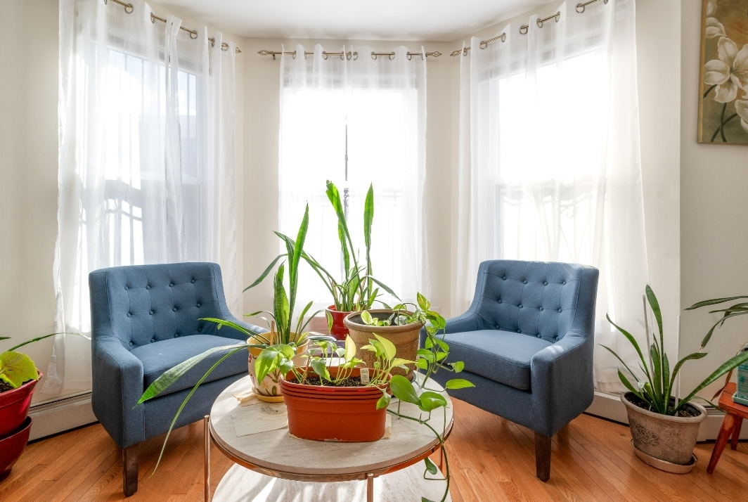 Utilities included, laundry available, fully stocked kitchen, Queens sizebedrooms, front & back yard - Photo 4