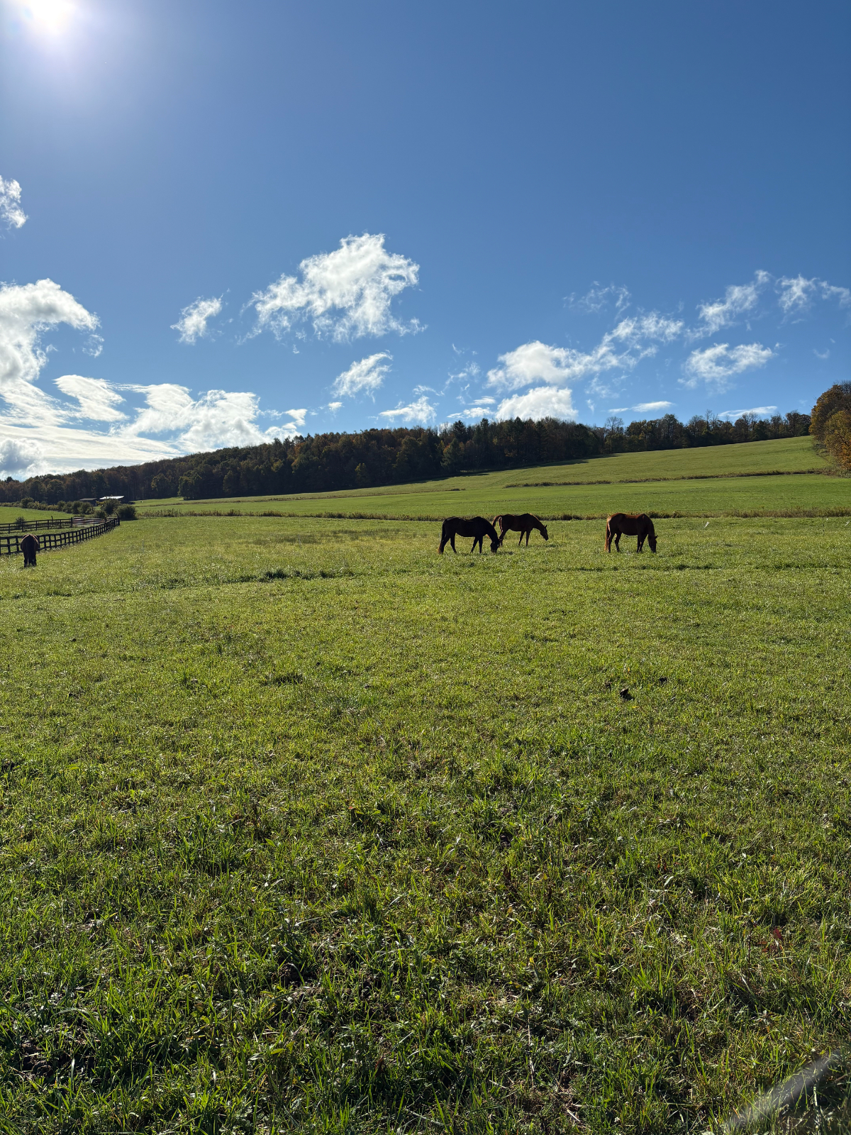 Private Barn Apartment Close to Ithaca, Cornell and Ithaca College - Photo 9