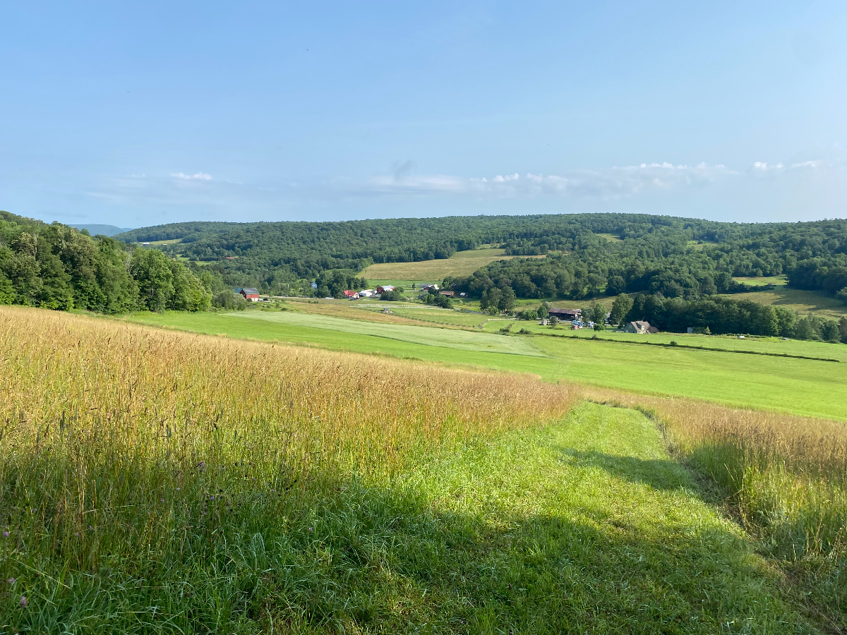 Private Barn Apartment Close to Ithaca, Cornell and Ithaca College - Photo 12