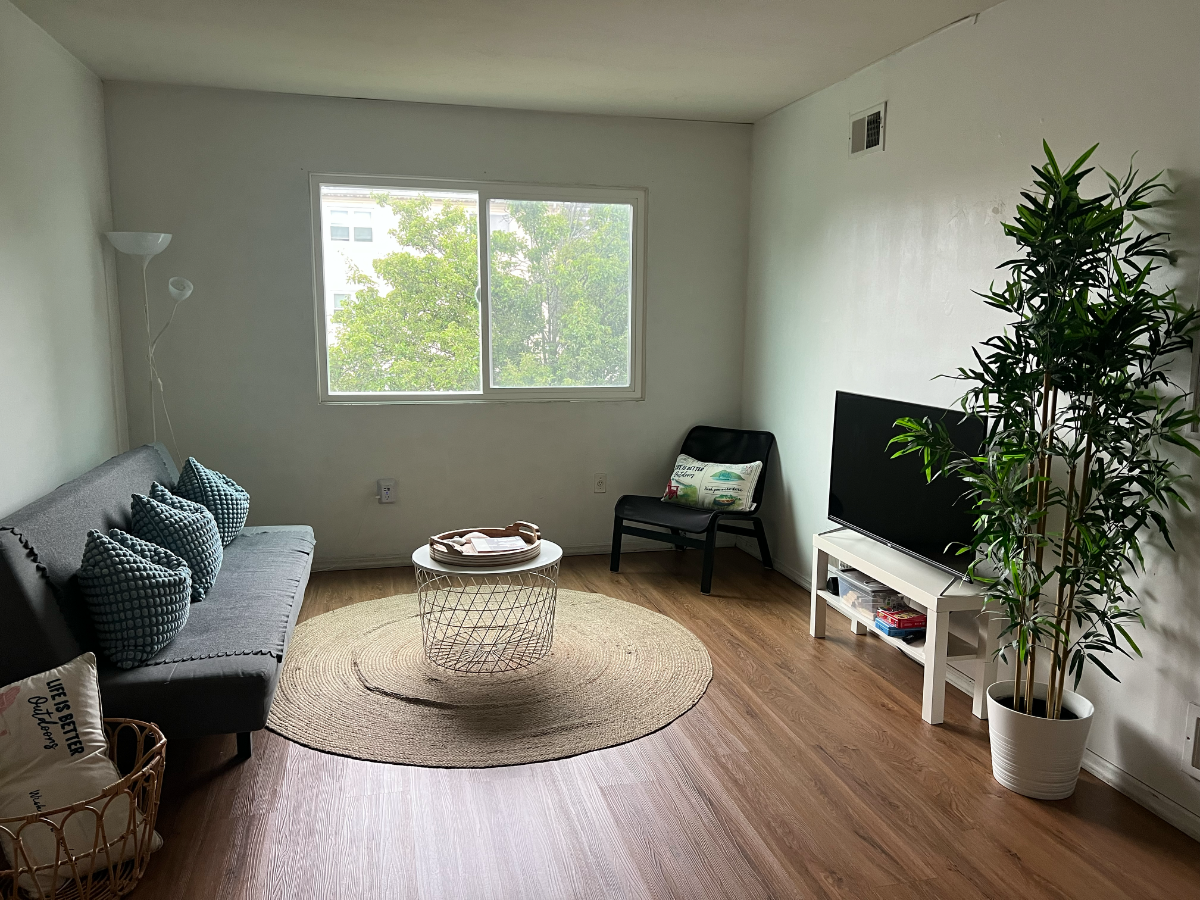 3Bdrm home near St.John's Episcopal Hospital w/In-unit laundry & Parking - Photo 3