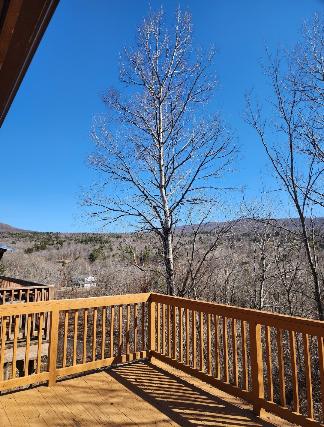Hunter Mountain Ski Townhouse - Photo 7