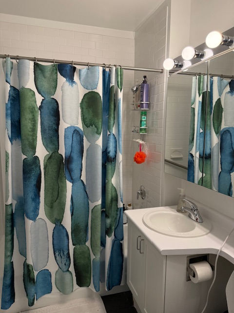 MEDICAL PROFESSIONALS ONLY. SHORT TERM ONLY. Bright ensuite bedroom steps from the Hudson and Linco - Photo 5
