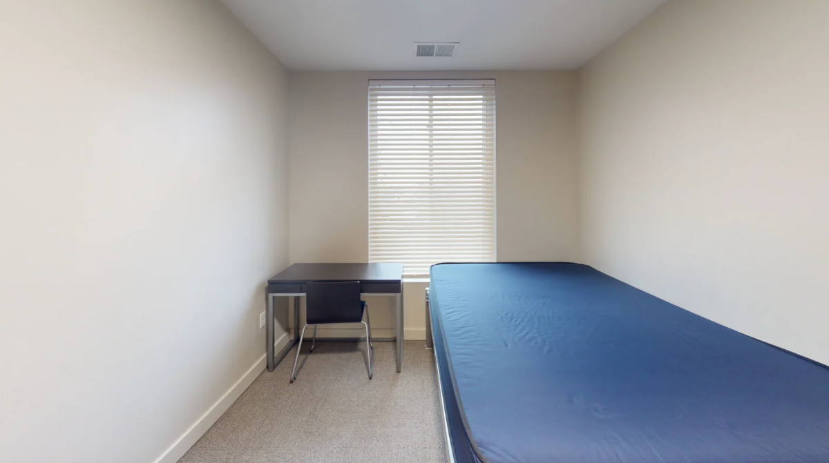Private Bedroom in a Furnished 4B4B Unit in Rochester Starting at $! - Photo 3