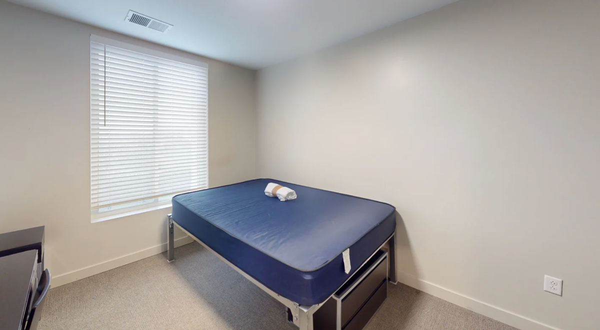 Private Bedroom in a Furnished 4B4B Unit in Rochester Starting at $! - Photo 5