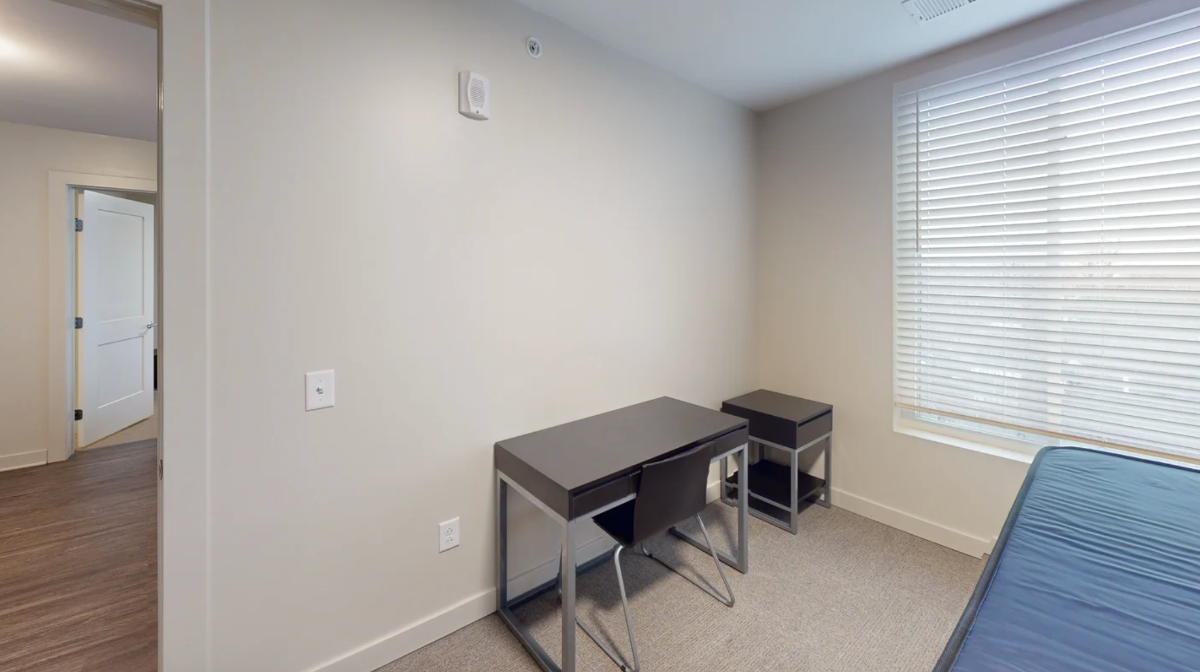 Private Bedroom in a Furnished 4B4B Unit in Rochester Starting at $! - Photo 6