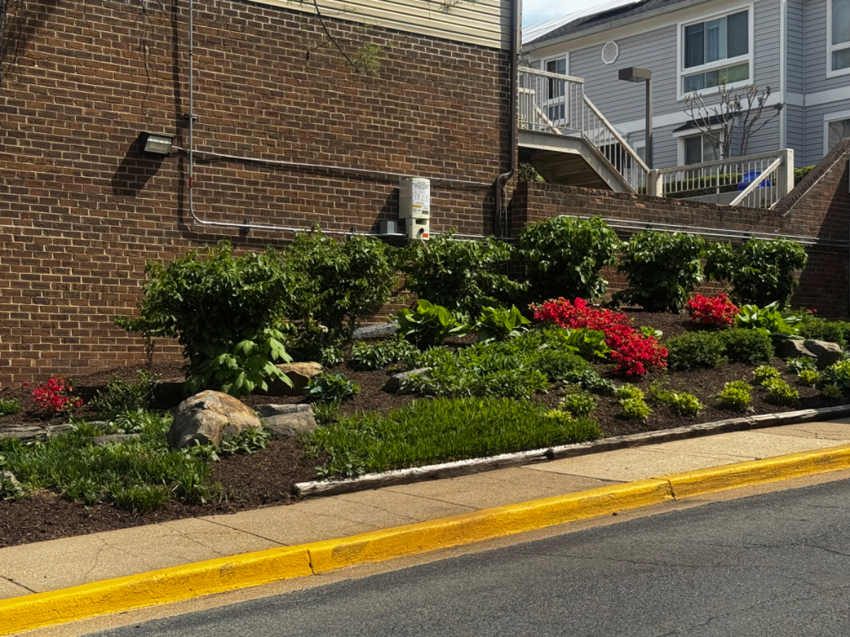 Perfect 2BR/1BA Condo in NE DC...Great for... - Photo 4