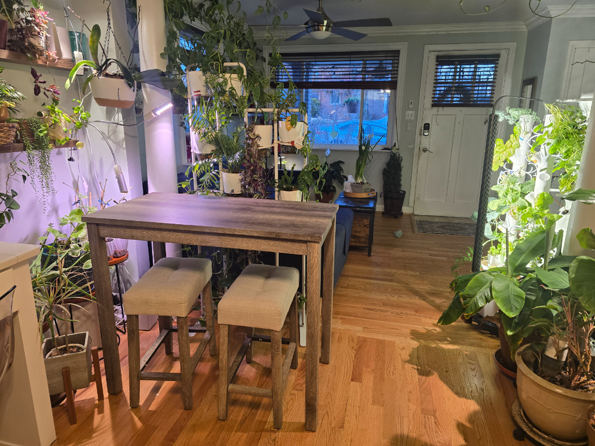 Furnished Private Room in Takoma Park D.C. - Photo 9