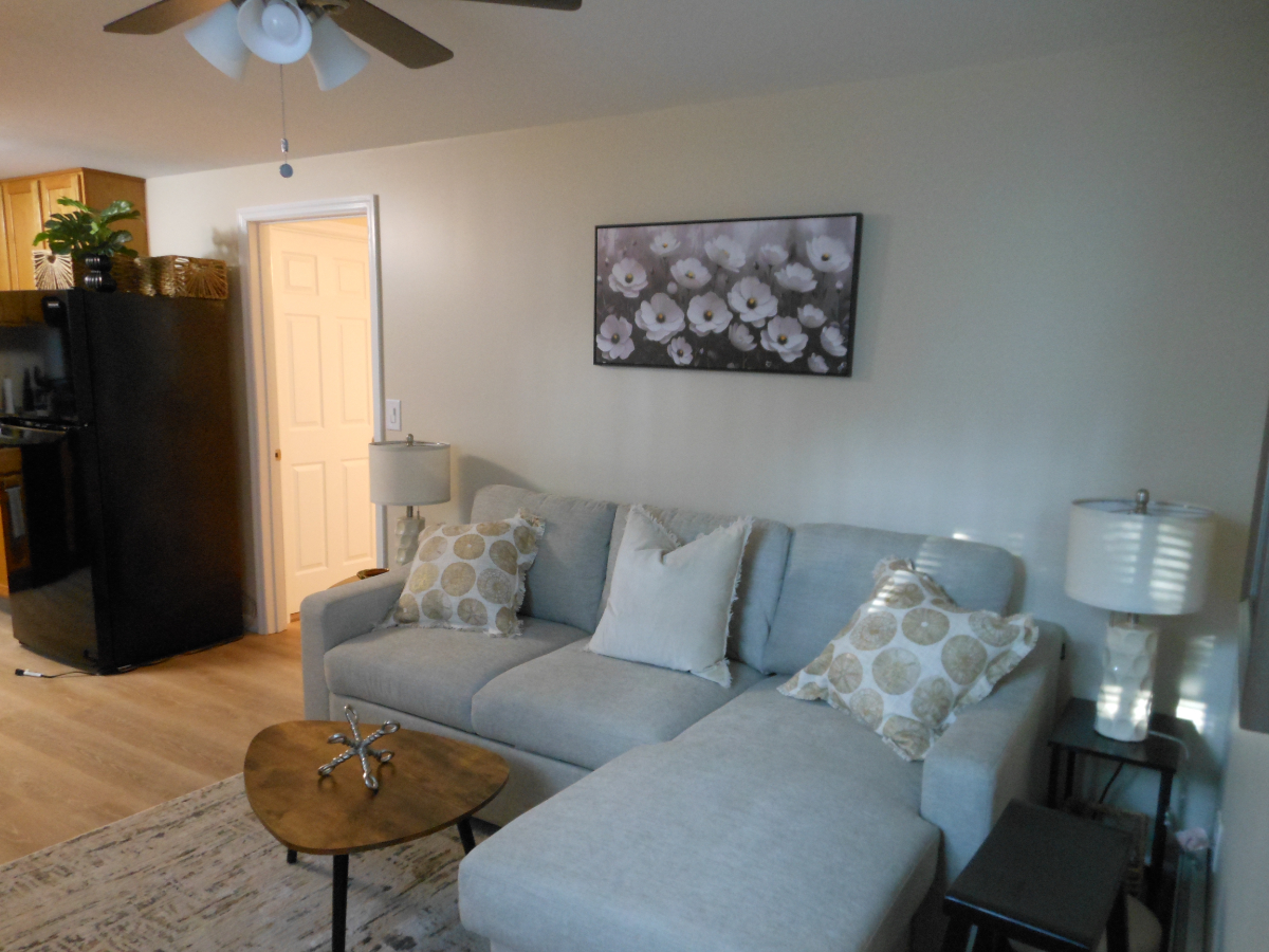 Private, Quiet New One Bedroom Fully Furnished Apartment - Photo 2