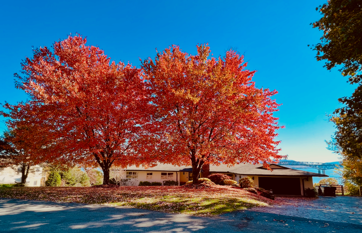 Gorgeous River view Midcentury Home - Photo 1