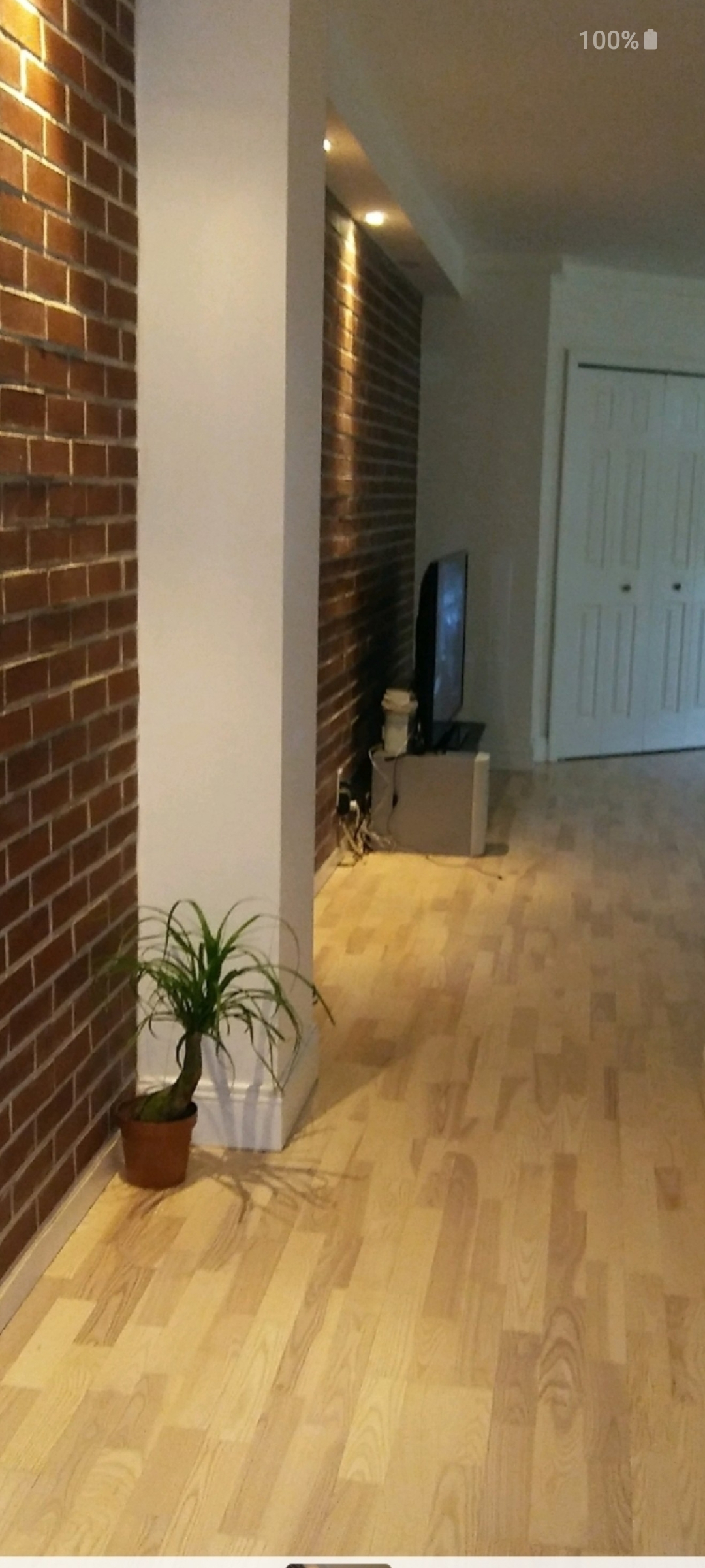 BEAUTIFUL QUIET NY--MOUNT VERNON STUDIO APARTMENT - Photo 3