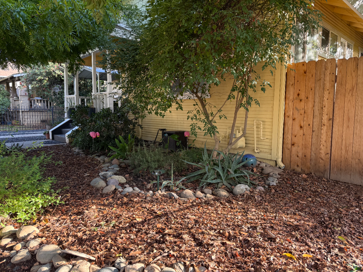 Charming Home Near UC Davis Medical Center - Photo 3
