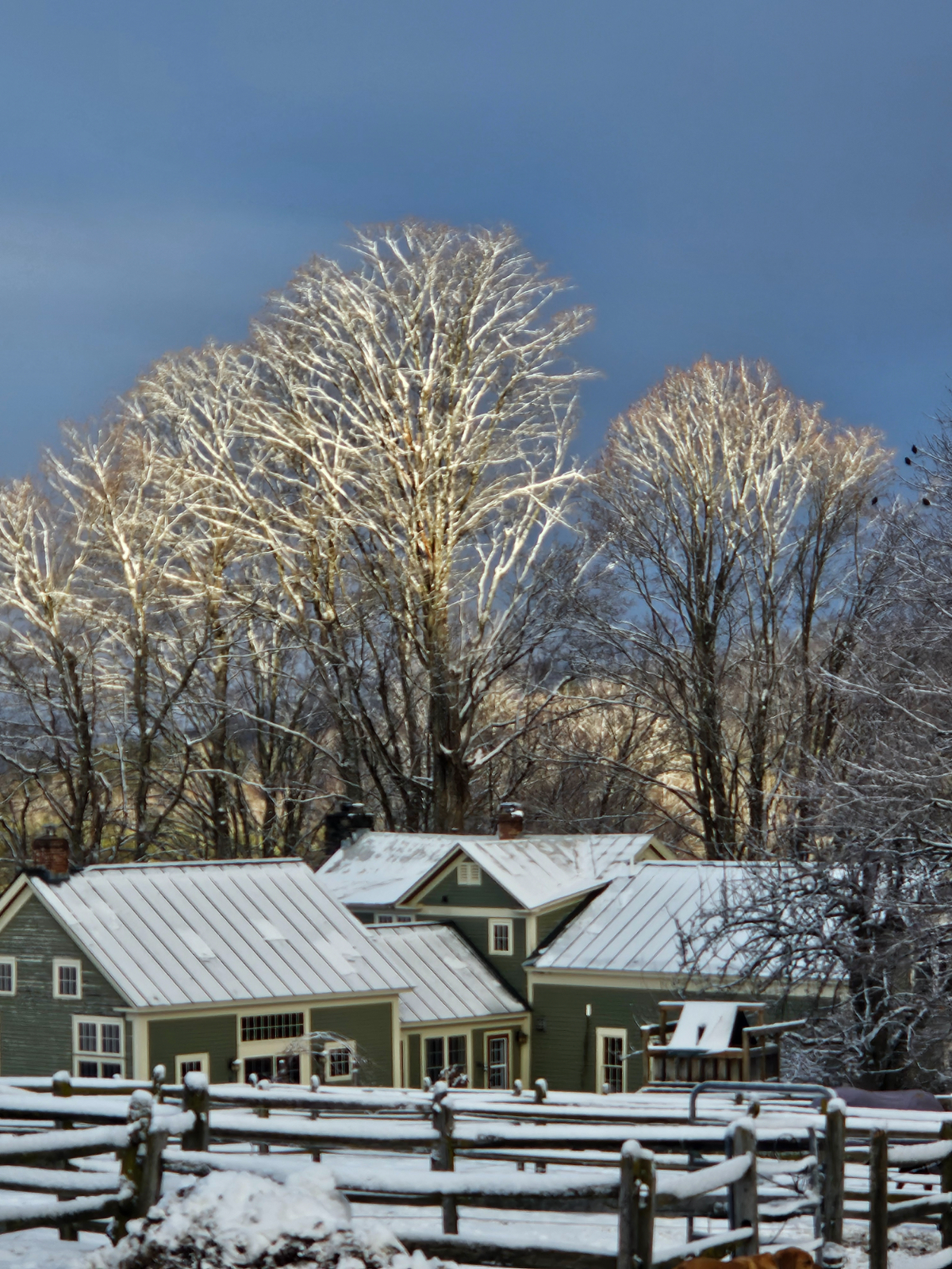 Farmhouse at Round Robin Farm - Photo 2