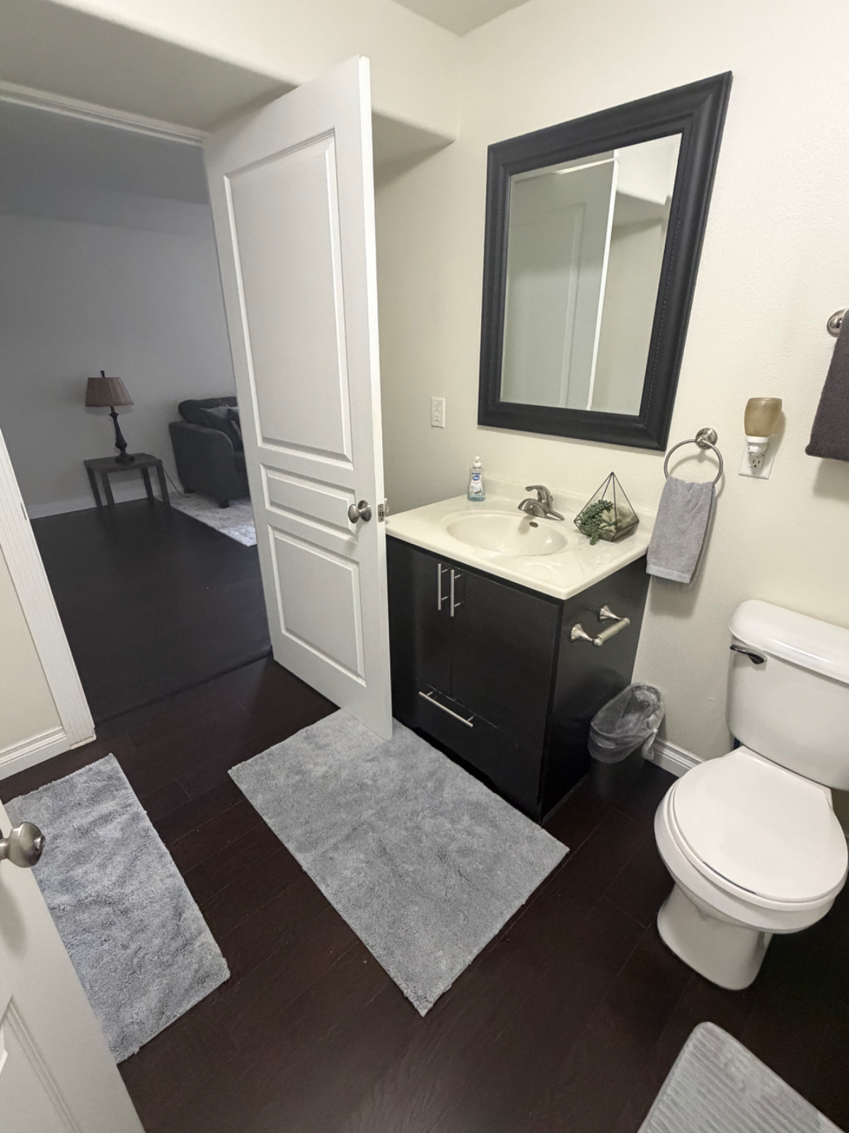 Fully Furnished Basement Unit - Photo 6