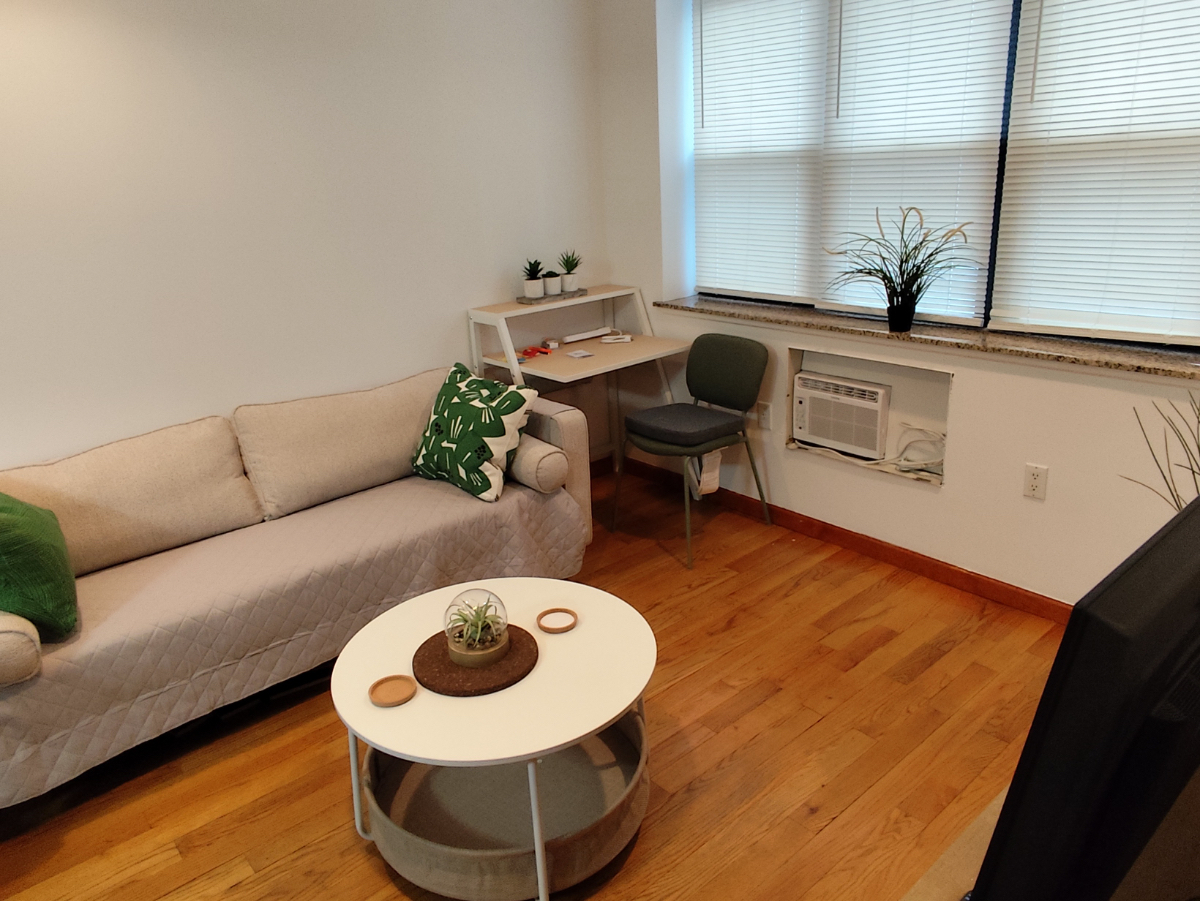 Fully Furnished 1BR Condo /Utilities Included /5 Min to 7 Train & LIRR - Photo 1