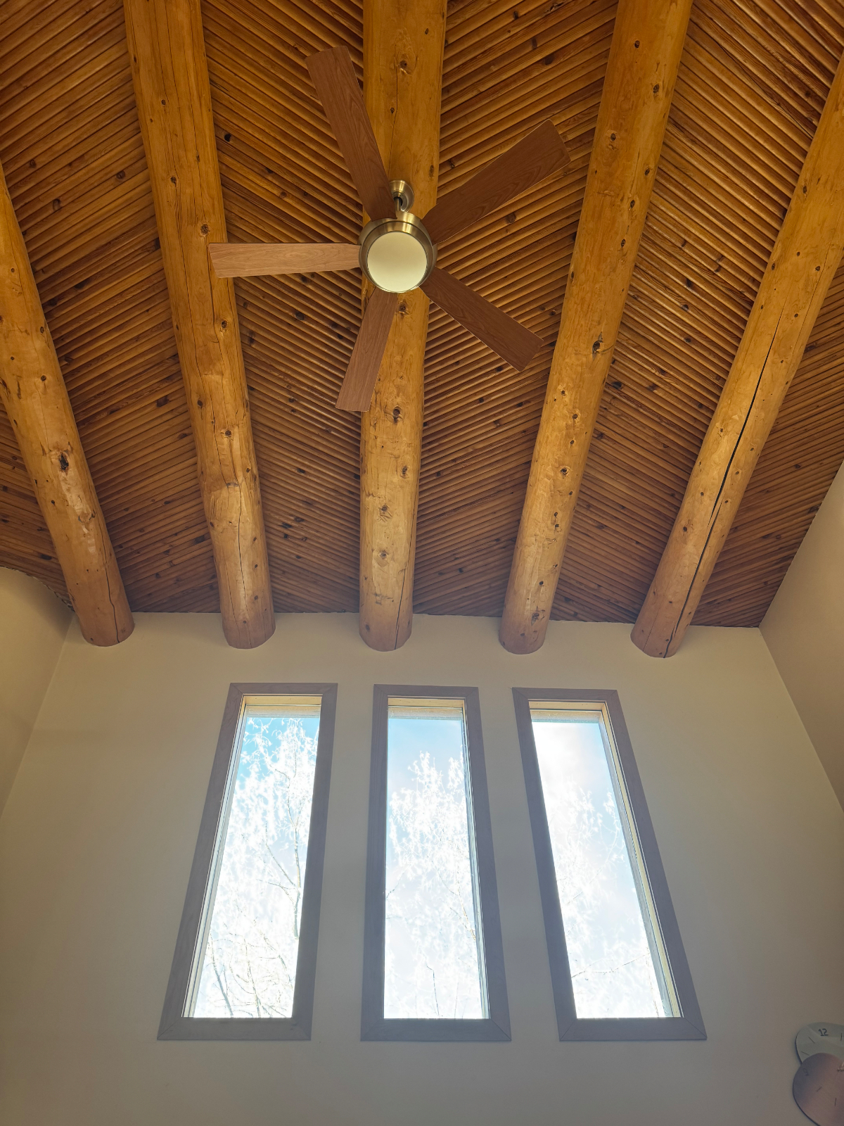 Cozy Casa and pet-friendly - Photo 7