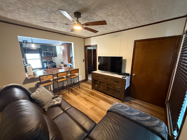Furnished Tipp Hill Apartment Near All Major Hospitals/Rent by Room or Entire Unit/Utilities include - Photo 10