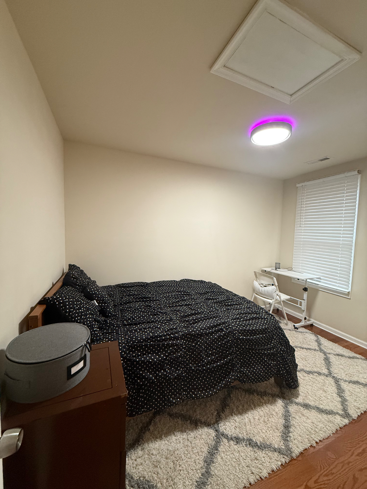 Serene Home in DC - Photo 4