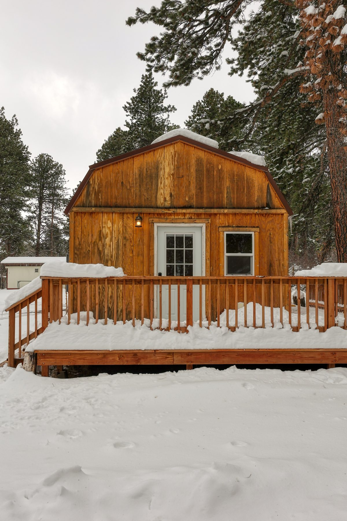 Piney Ridge Cabin - Cozy Tiny House Loft, Wildlife Views, Story WY - Photo 10
