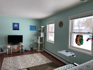 Quiet Furnished Room in Shared Home/ Ideal for Healthcare Professionals - Photo 10