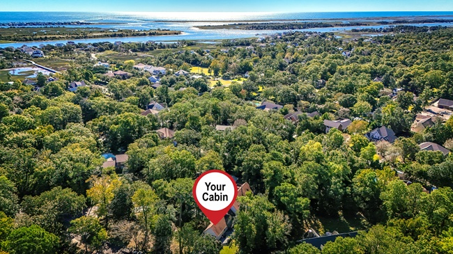 Luxury Cabin w/ Private Sauna, Deck, Fenced Backyard in Quiet & Safe Neighborhood - Photo 2